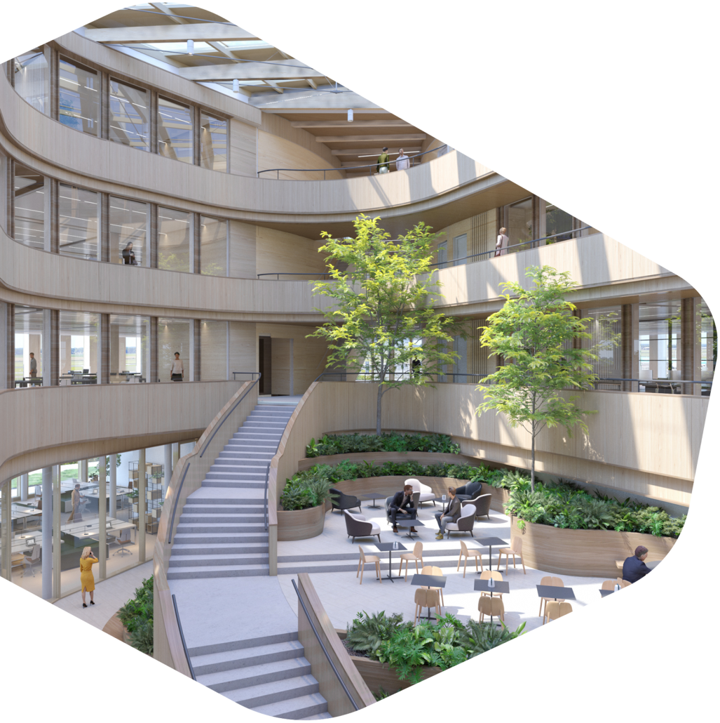 The Grove ENG The Grove